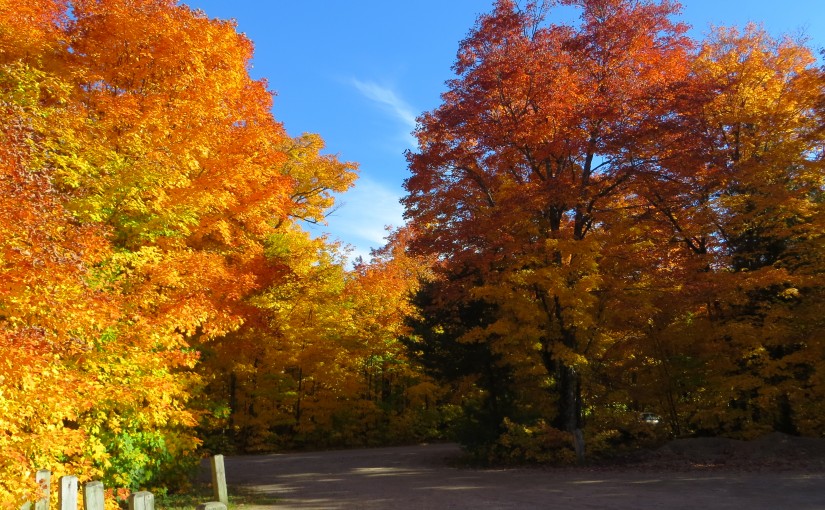 让我们一起渡过人生最美好的二十年！